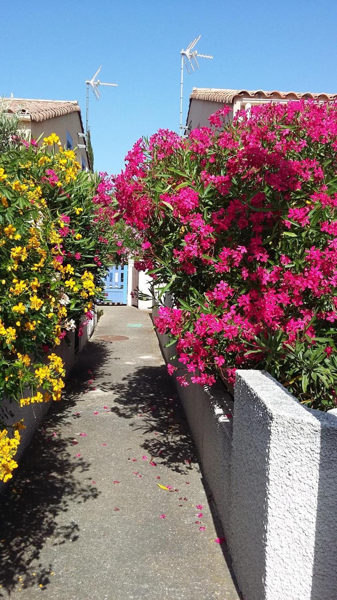 Les Amandines Villa Agde Exterior photo